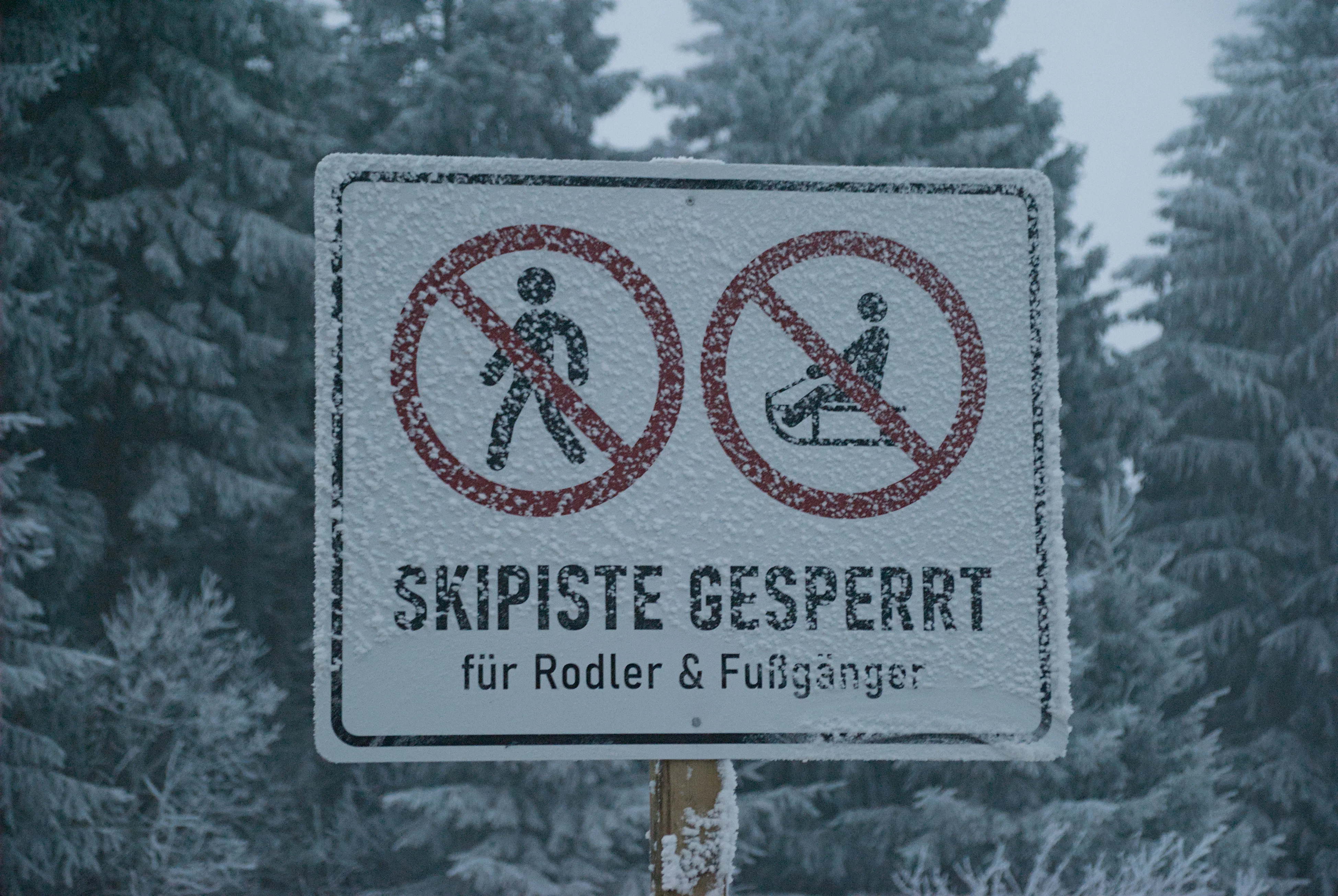 Ein Schild auf der verschneiten Wasserkuppe in Hessen. "Skipiste gesperrt, für Rodler und Fußgänger"