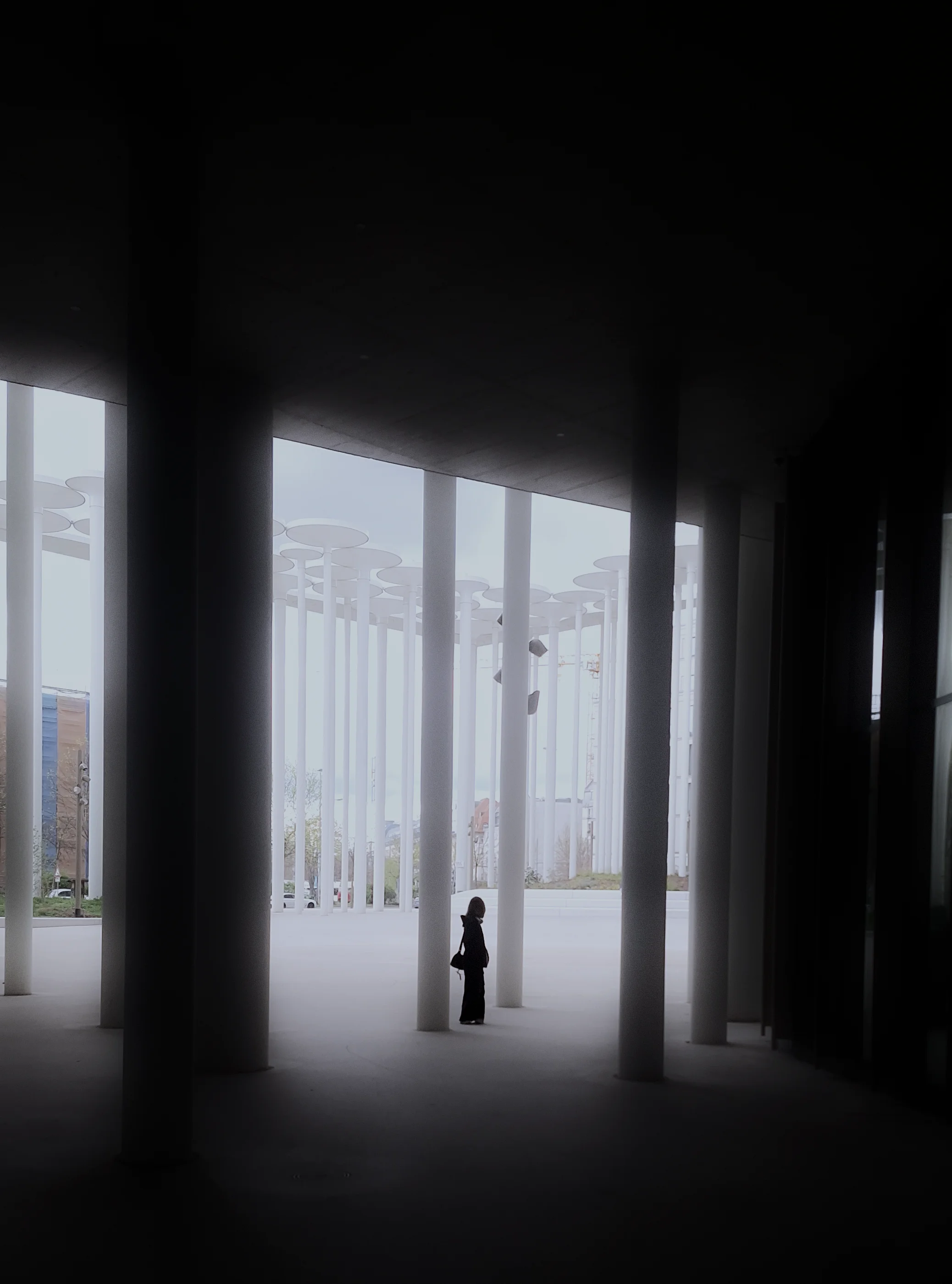 Ein verlinkter Instagram Beitrag, der zu einem Bild führt. Auf diesem Bild sieht man eine Frau mit Rucksack, 2 Zöpfen und Cap von hinten. Um sie herum ist eine Tunnel aus Grünpflanzen und auf der Linken Seite befinden sich Statuen. Das Bild wurde im Fuldaer Domgarten aufgenommen